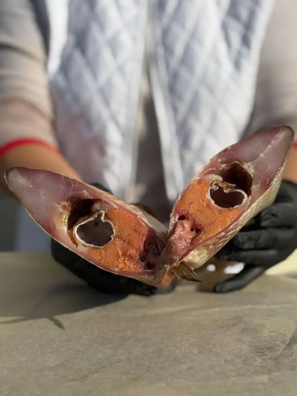 Цимлянский Лещ — вяленый деликатес с Дона