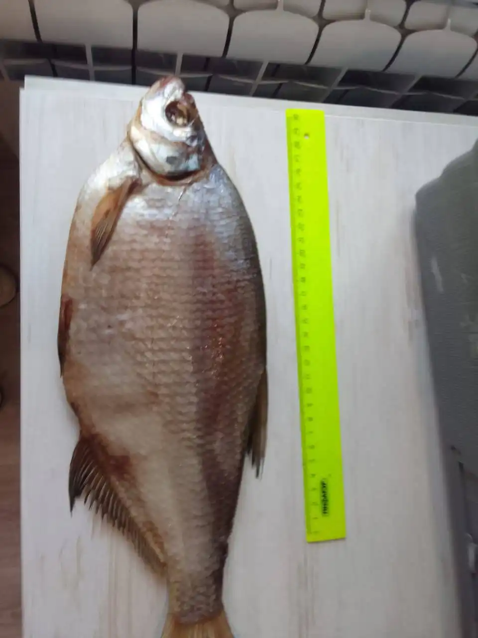 Цимлянский Лещ — вяленый деликатес с Дона