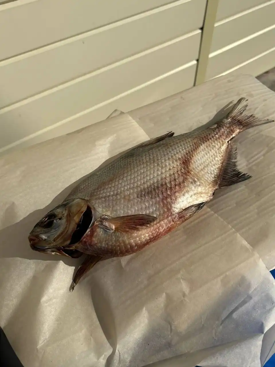 Цимлянский Лещ — вяленый деликатес с Дона