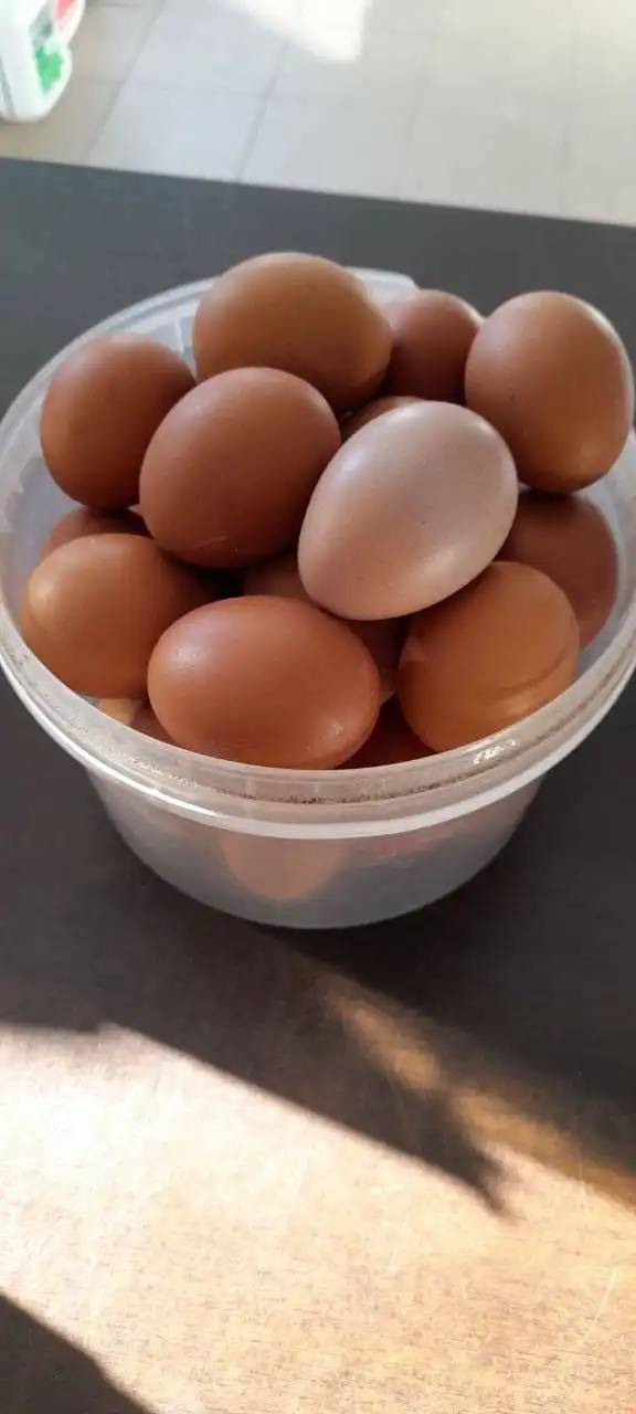 Продажа домашней курочки бройлера и яиц