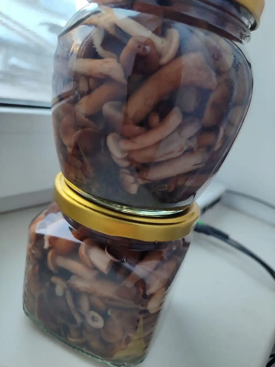 Маринованные опята в банке