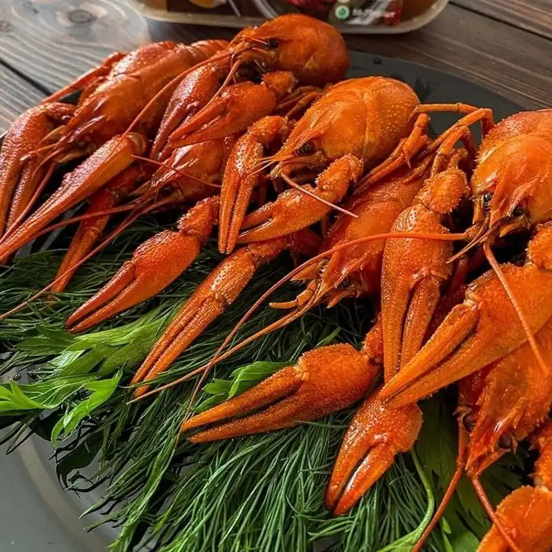 Продажа живых раков в Самаре