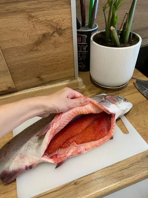 Охлажденная форель и морепродукты - Хобби и отдых в Самара