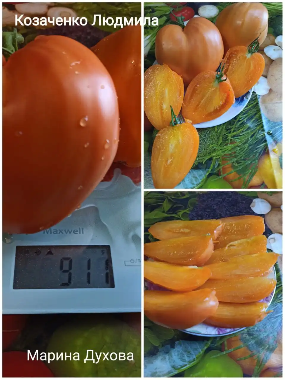 Коллекционные сорта томатов и перца