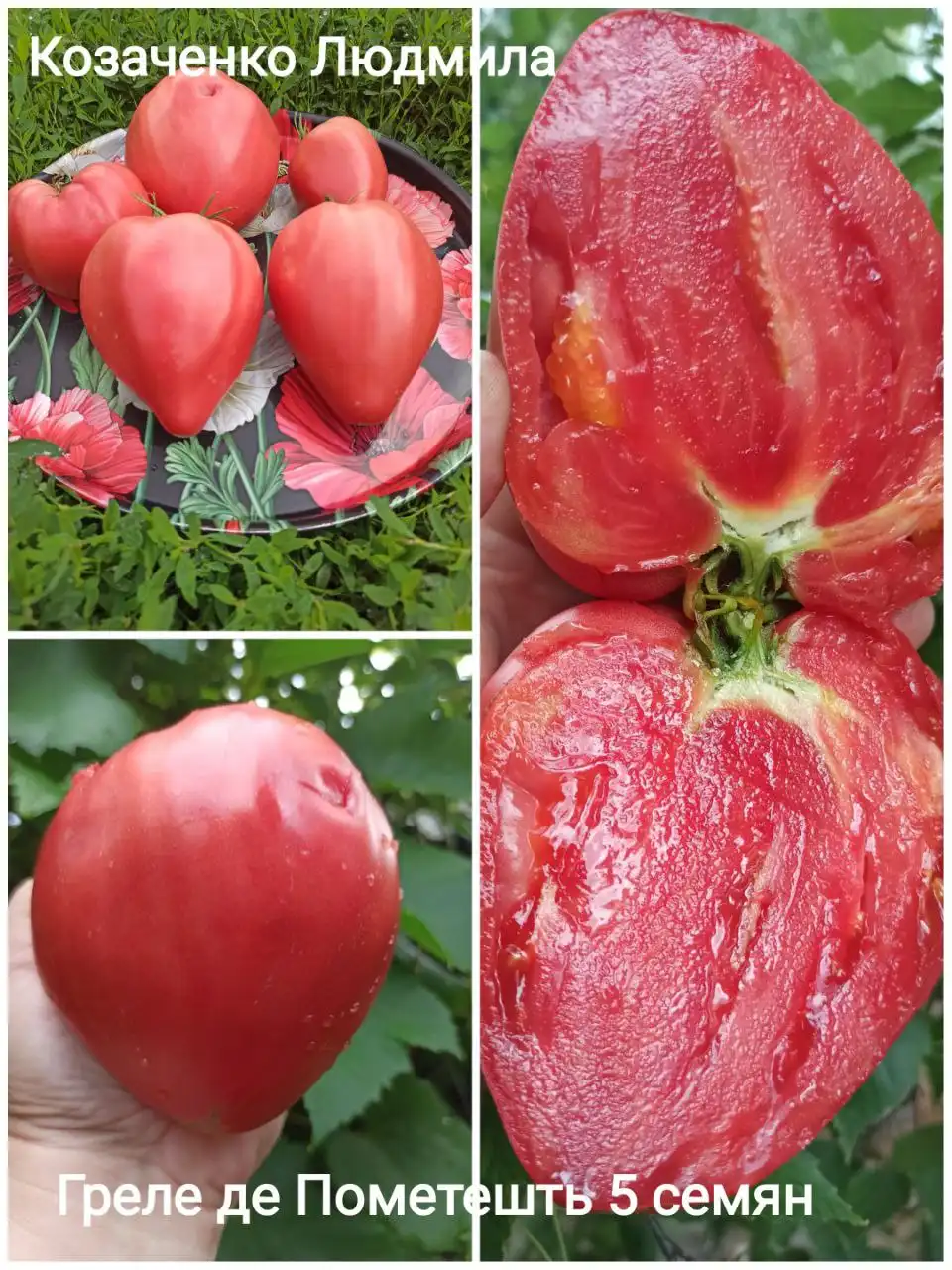 Коллекционные сорта томатов и перца