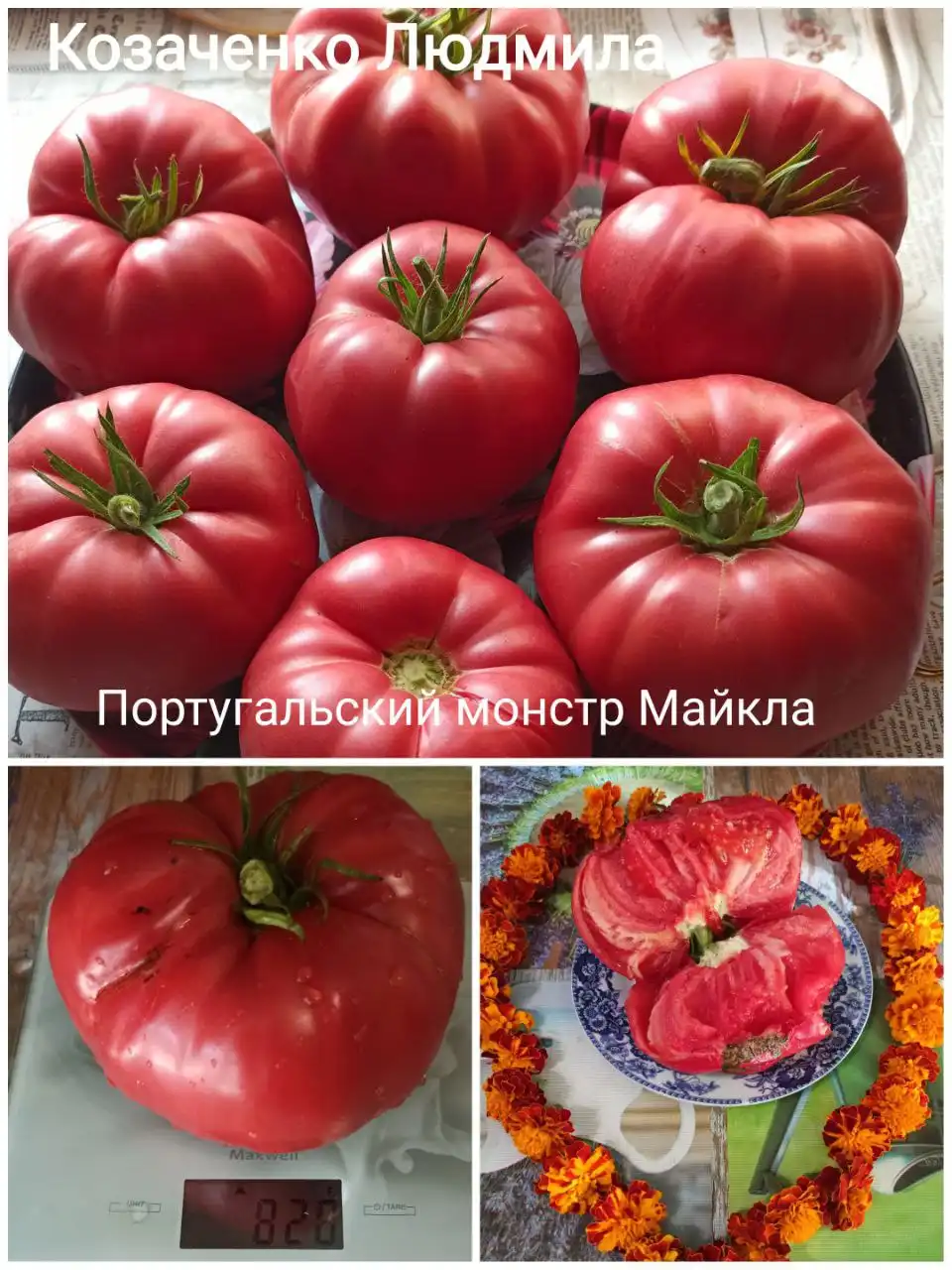 Коллекционные сорта томатов и перца