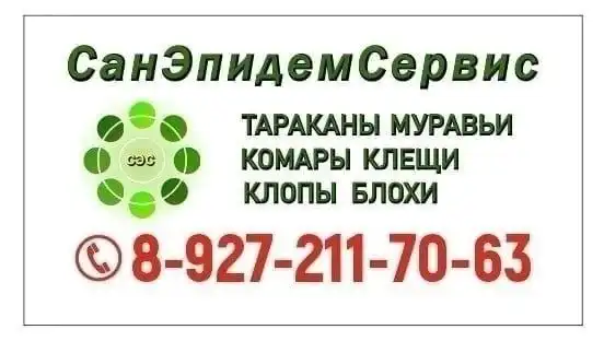 Санобработка от насекомых в Самаре