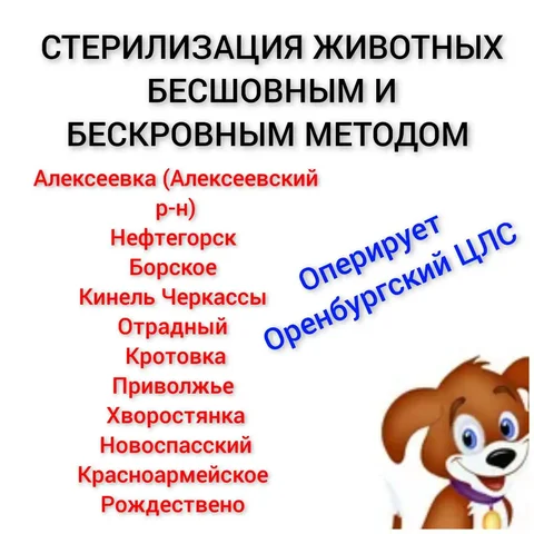 Продажа автомобиля в Самаре - Услуги по продаже в Самара