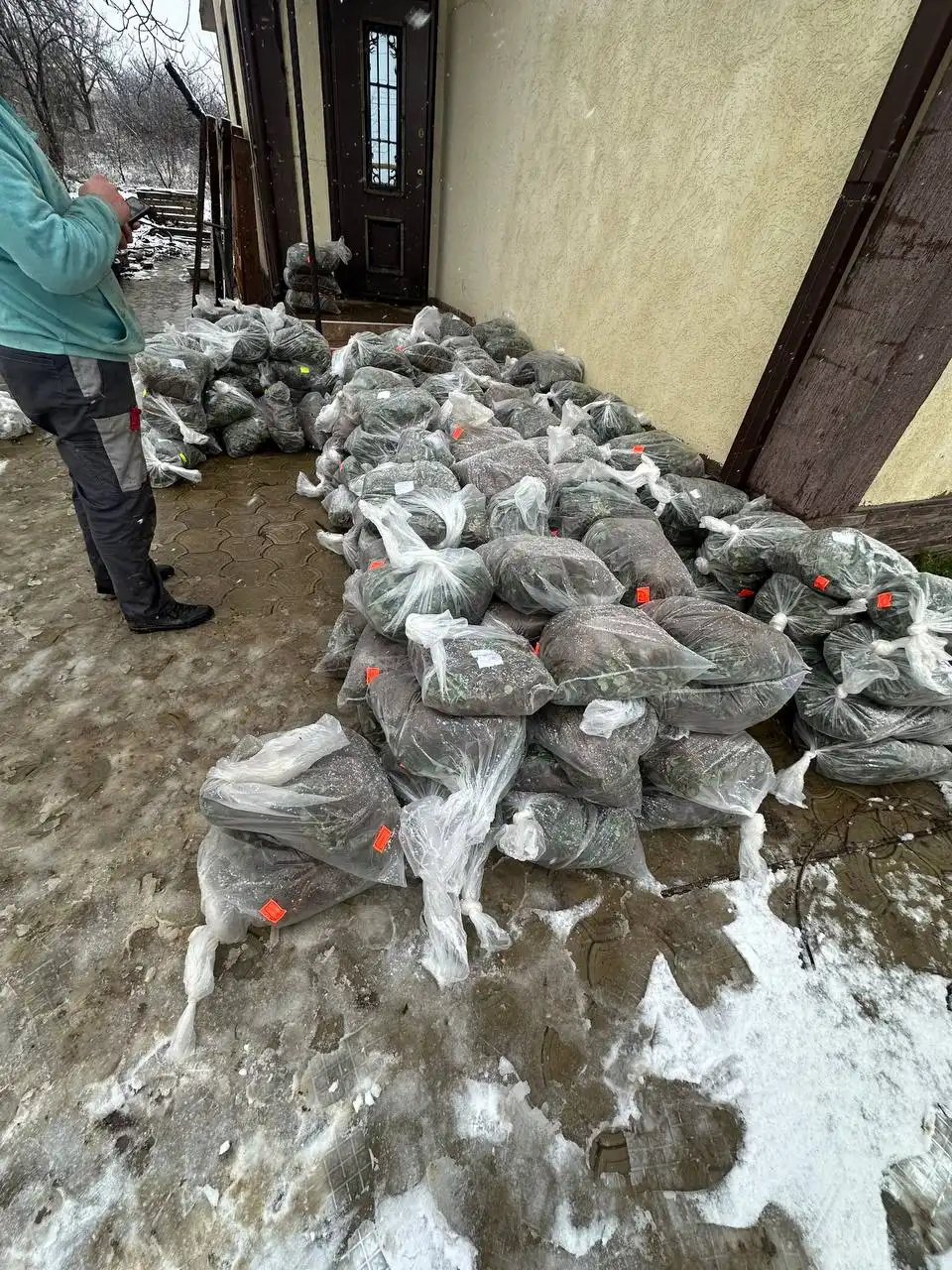 Саженцы клубники с доставкой по России - частное объявление в Самара