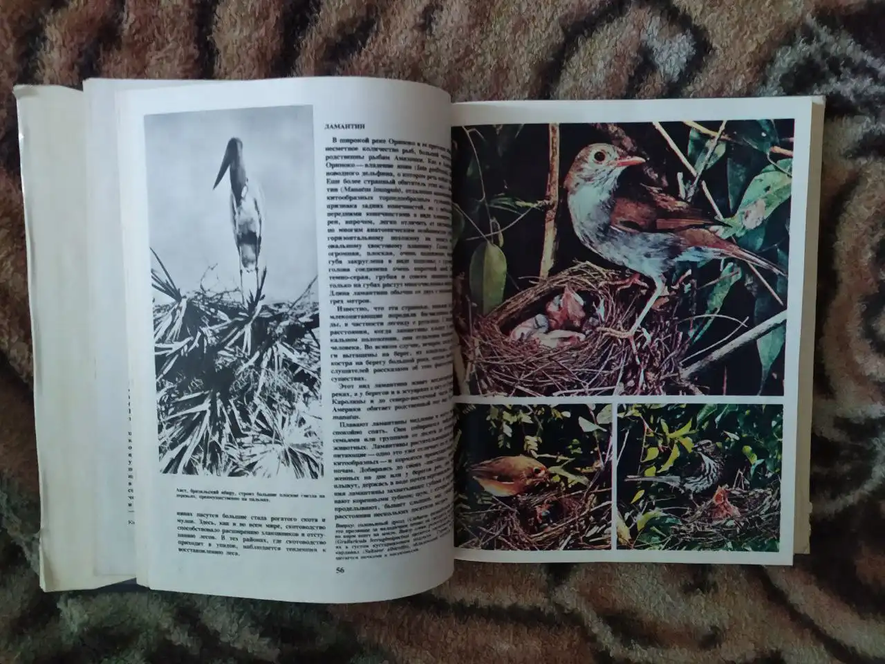 Продажа новых и редких книг - Книги (Хобби и отдых) в Самара