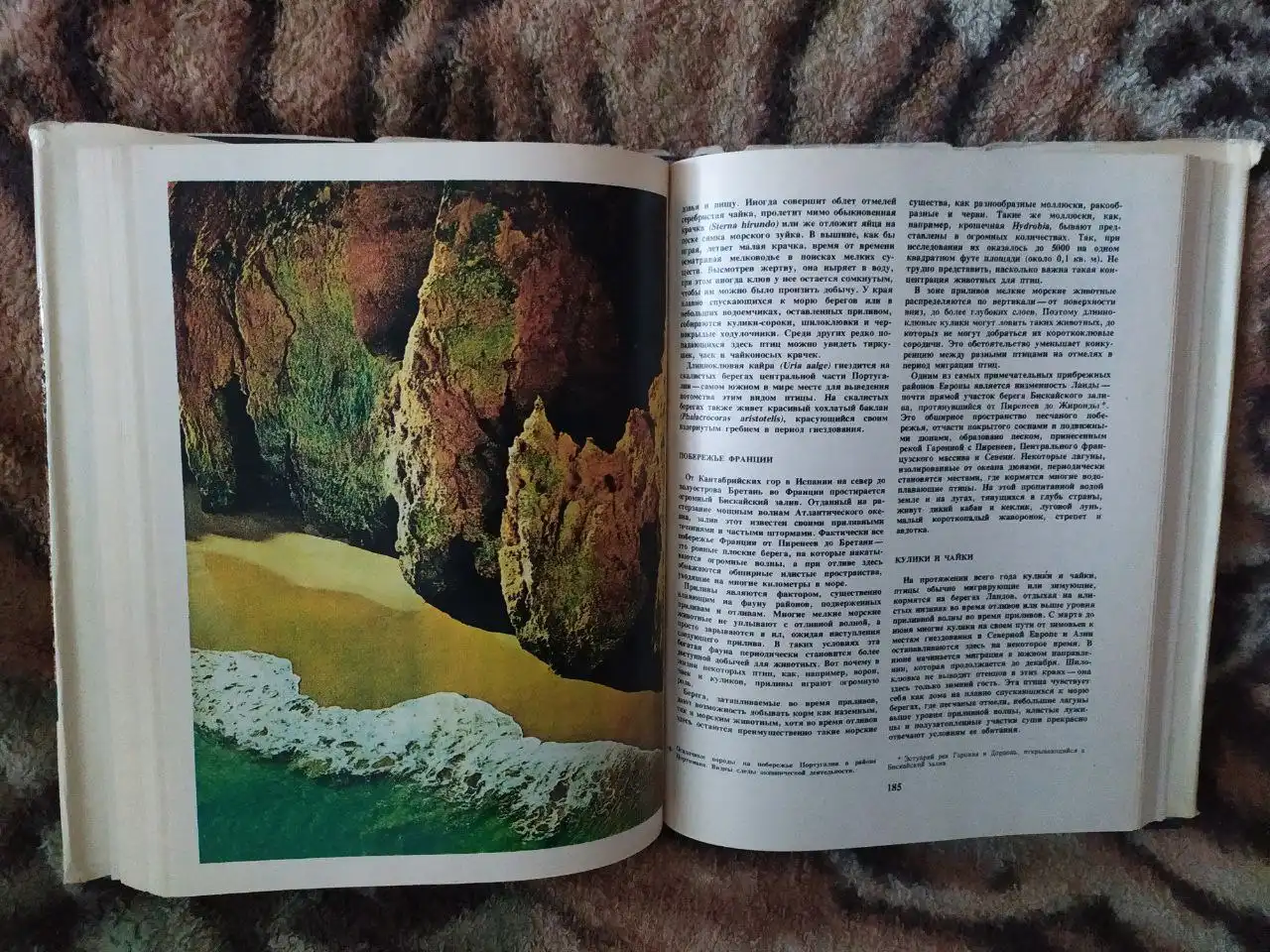 Продажа новых и редких книг - Книги (Хобби и отдых) в Самара