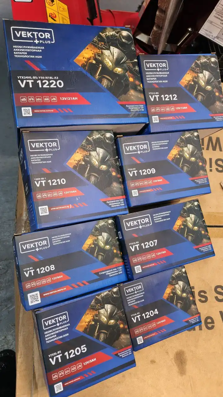 Аккумуляторы VEKTOR VT для мототехники и садовой техники - Аккумуляторы (Авто) в Самара