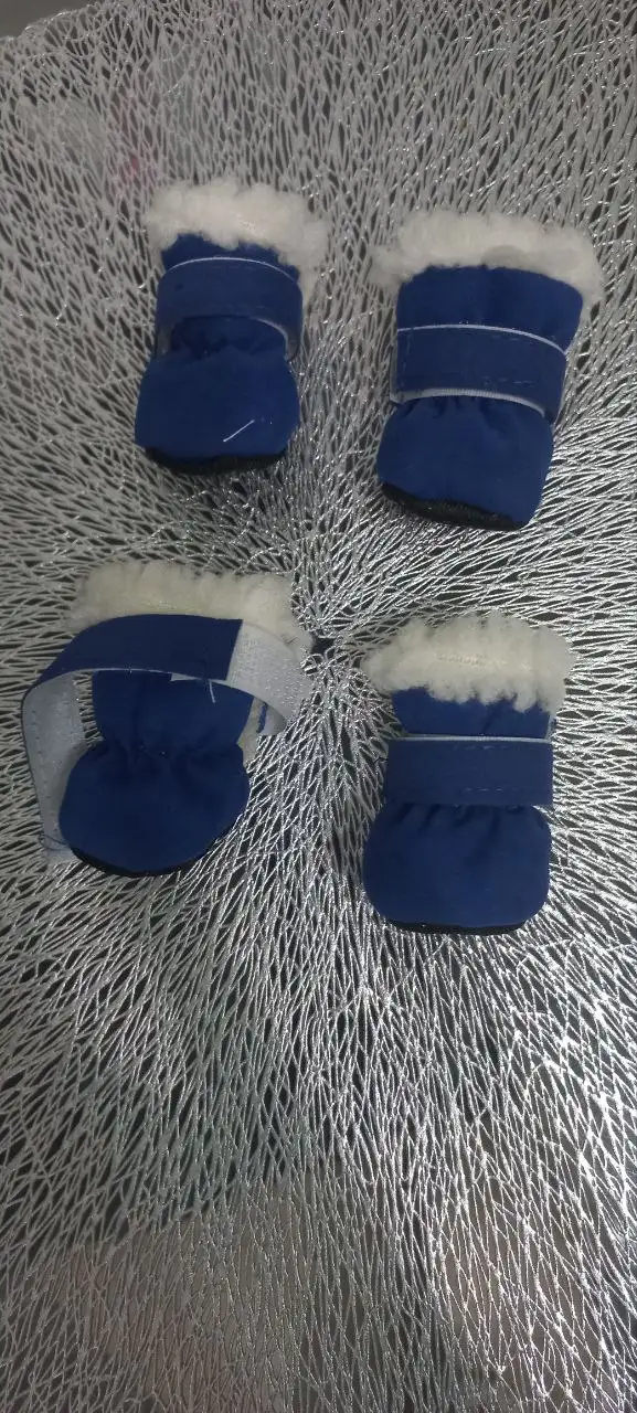 Зимние сапожки для собаки - Аксессуары для животных (Животные) в Самара