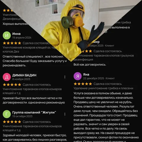 Уничтожение насекомых и грызунов профессиональным дезинфектором - частное объявление в Самара