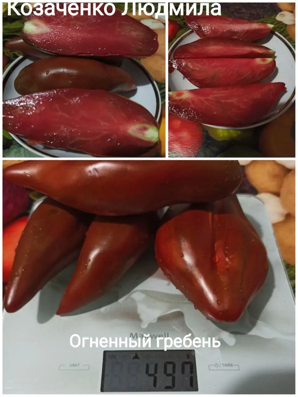 Коллекционные семена томатов и перца - Семена и рассада (Хобби и отдых) в Сызрань