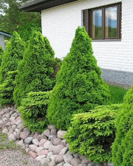 Уничтожение клещей, комаров, тли и бытовых насекомых - Наращивание волос в Самара