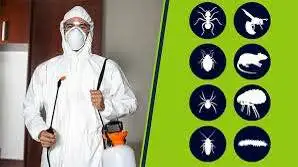 Уничтожение клещей, комаров, тли и бытовых насекомых - Дезинсекция (Услуги) в Самара