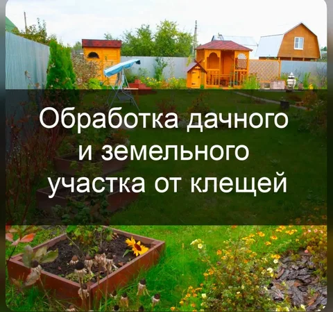 Обработка участка от клещей в Самаре - частное объявление в Самара