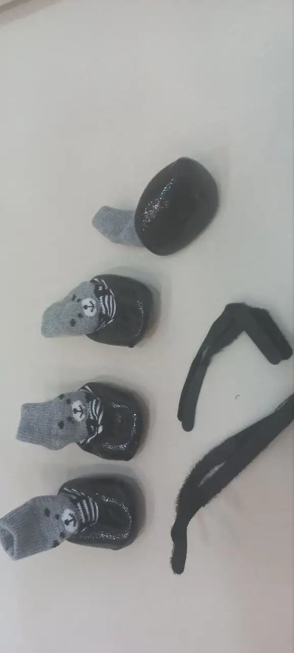 Обувь для собачки - Аксессуары для животных (Животные) в Самара