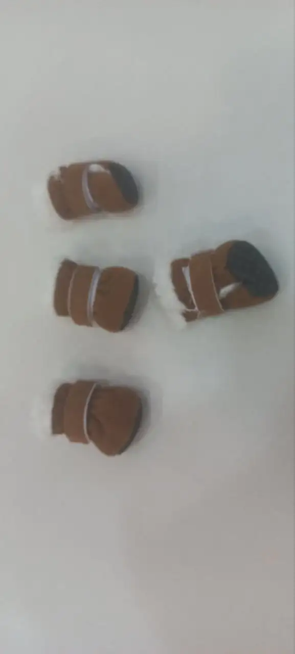 Обувь для собачки - Аксессуары для животных (Животные) в Самара