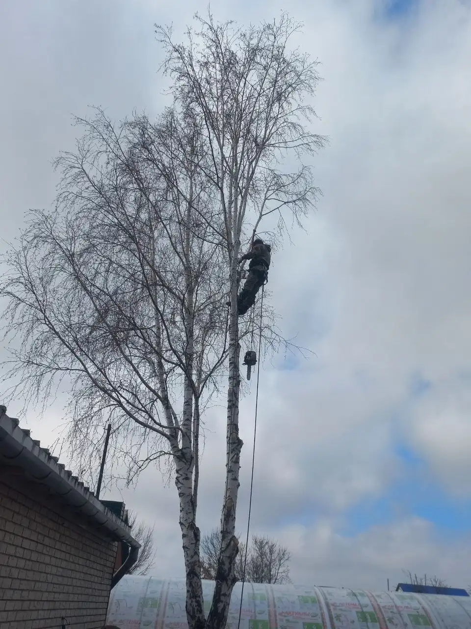 Услуги по спилу деревьев и расчистке участков - Благоустройство участков (Услуги) в Самара