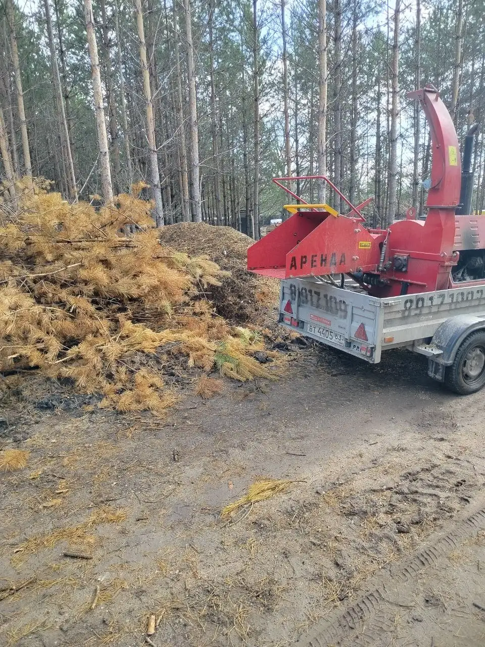 Услуги по спилу деревьев и уходу за участком - Благоустройство и озеленение (Услуги) в Самара