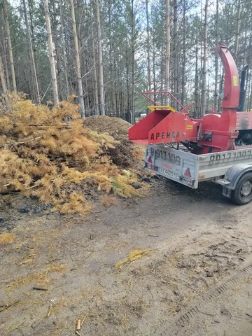Услуги по спилу деревьев и уходу за участком - Реклама и маркетинг в Самара