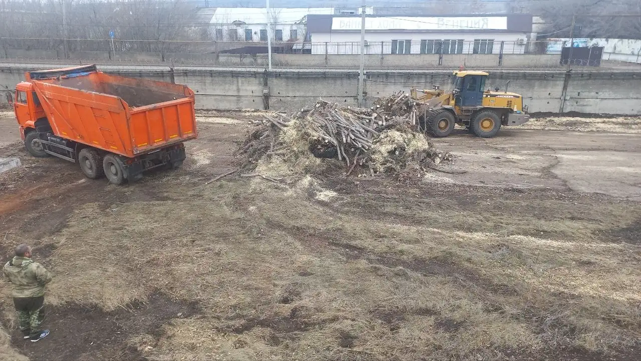 Услуги по расчистке территории и спилу деревьев в Самаре - Благоустройство территории (Услуги) в Самара