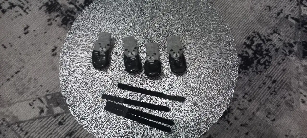 Продажа собачек - Собаки (Животные) в Самара