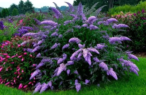 Монтаж систем автополива и ландшафтный дизайн - Скидки и акции в Самара