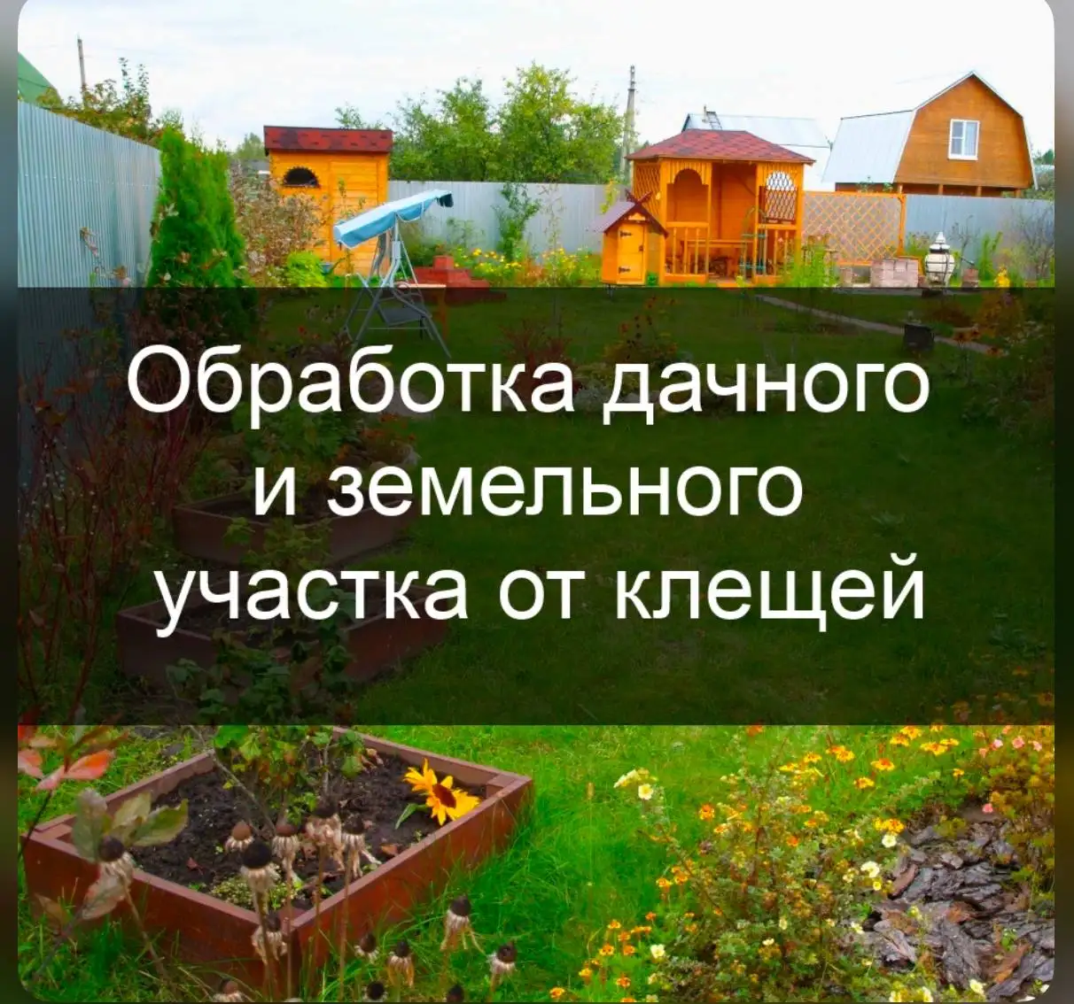 Обработка участков от клещей и комаров - Дезинсекция (Услуги) в Самара