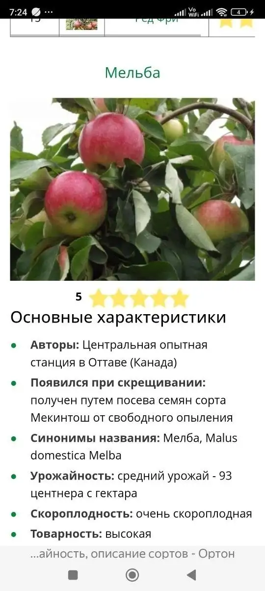 Саженцы плодовых деревьев - Растения (Для дома и дачи) в Самара