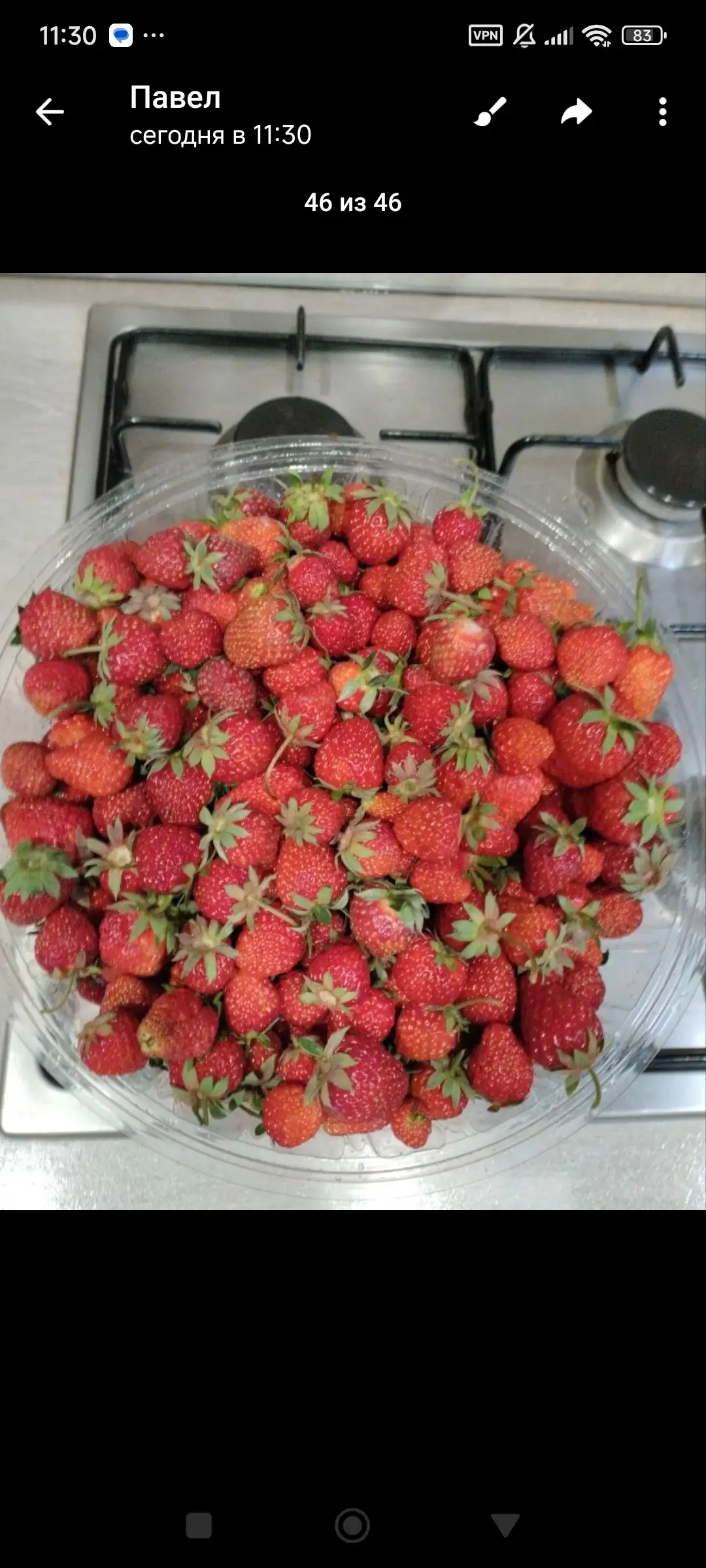 Продажа клубники и рассады клубники - Растения (Для дома и дачи) в Самара