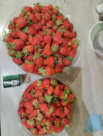 Продажа клубники и рассады - Вейп в Самара