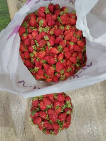 Продажа клубники и рассады в Самаре - Декор и аксессуары в Самара