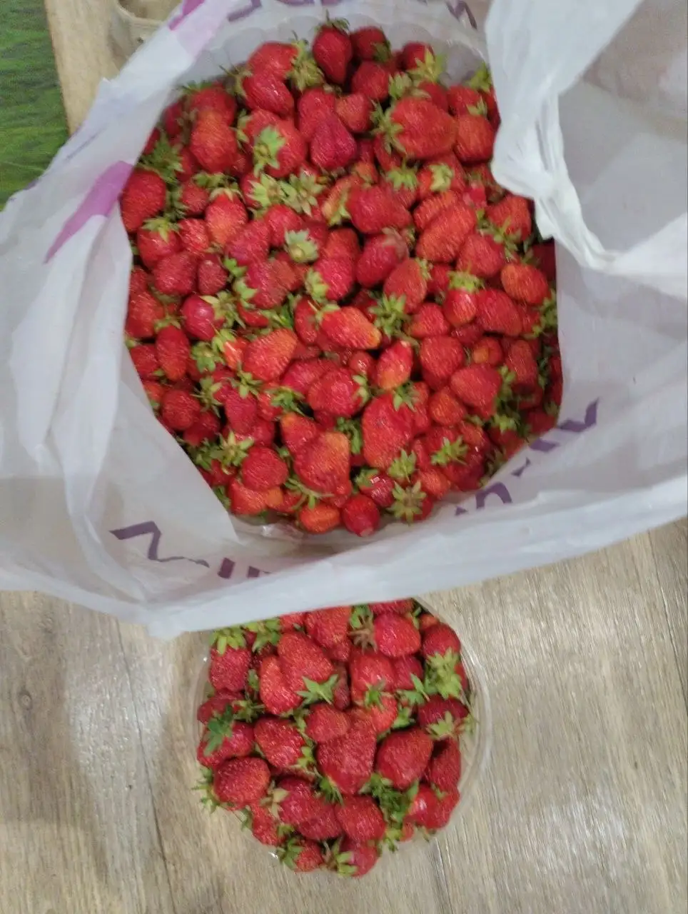 Продажа клубники, рассады и саженцев - Растения (Барахолка) в Самара