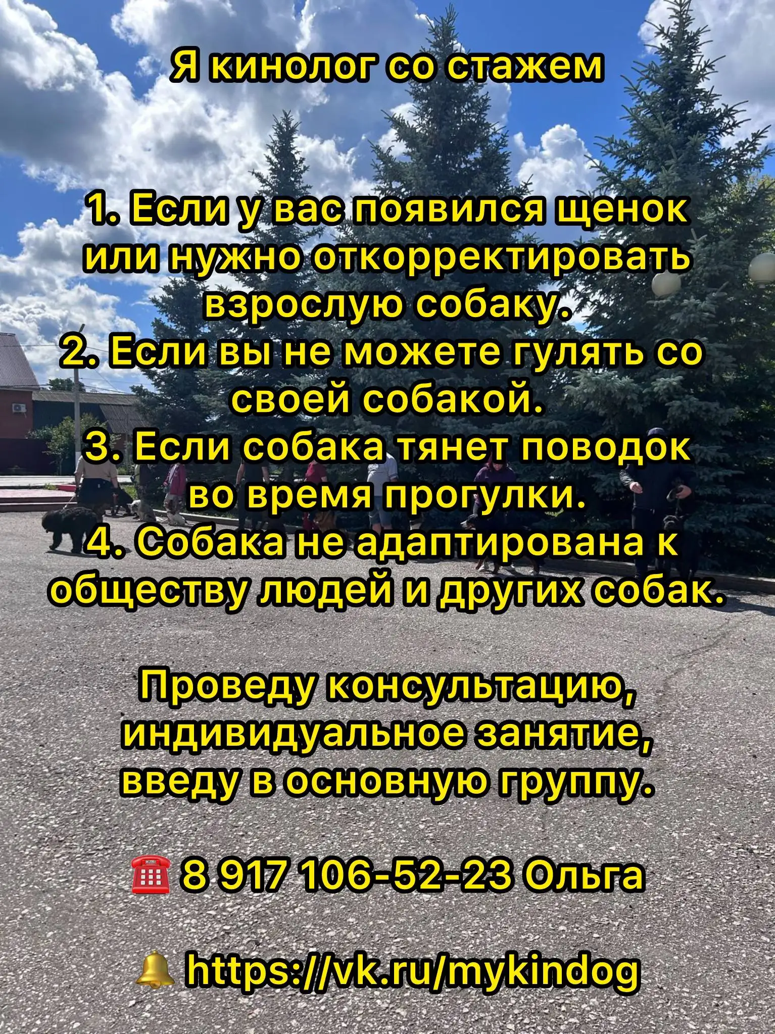 Услуги кинолога - Кинолог (Услуги) в Самара