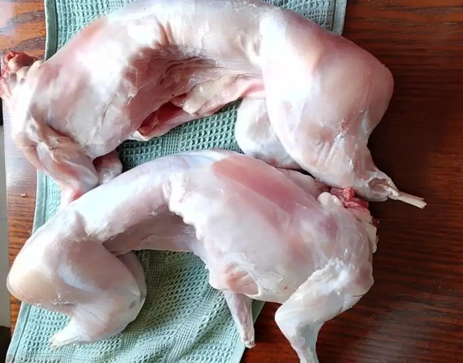 Продажа мяса молодых кроликов - Мясо (Еда) в Неизвестно