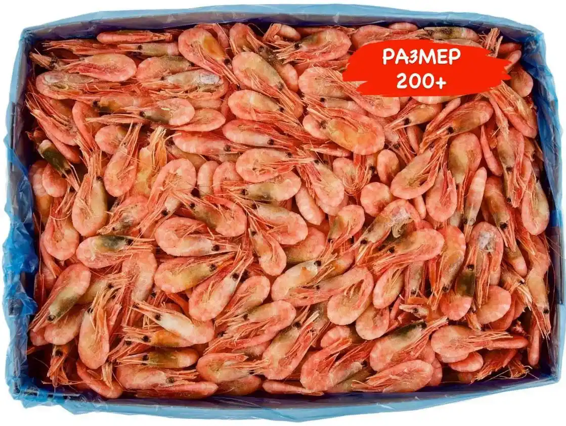 Северная креветка 200+ - Хобби и отдых в Оренбург