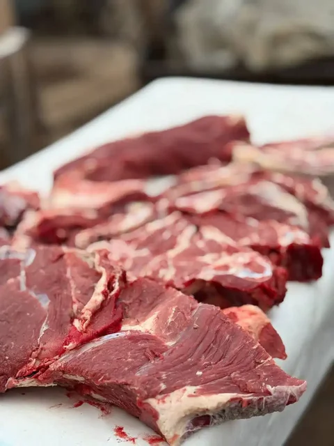 Молодая конина в наличии - Животные в Оренбург