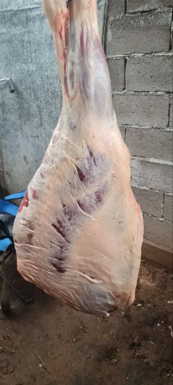 Молодая конина в наличии