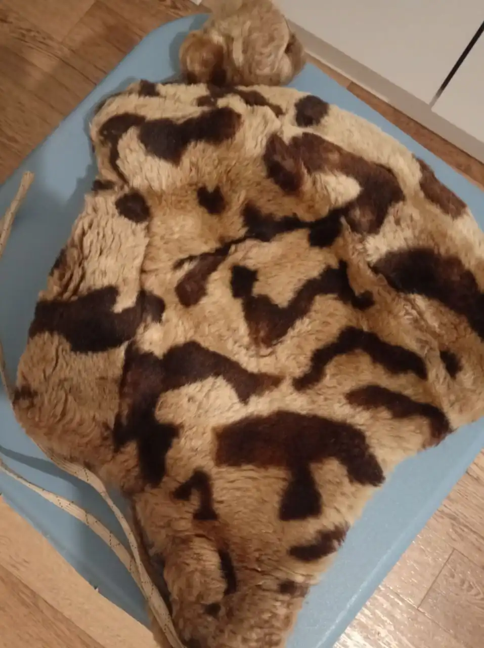 Продажа меховых изделий и зимней одежды