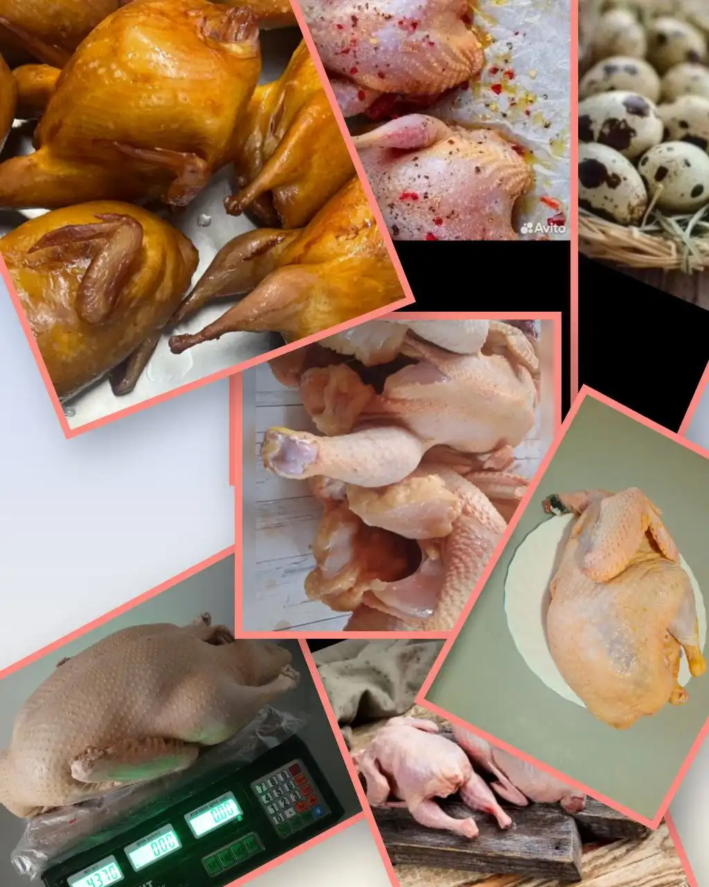 Заказ свежего мяса птицы и яиц