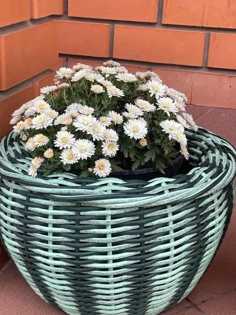 Продажа товаров в Оренбурге - Еда и напитки в Оренбург