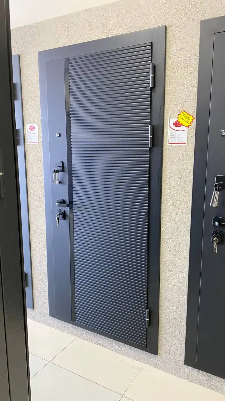 Входная дверь Черное зеркало - Двери (Для дома и дачи) в Оренбург