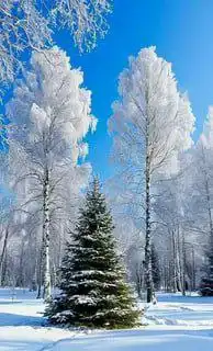 Рекламные группы Оренбурга - Реклама (Услуги) в Оренбург