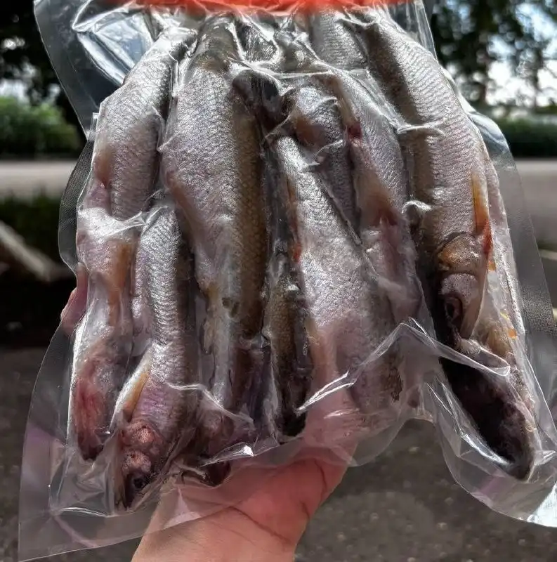 Продажа свежемороженой рыбы в Оренбурге - Продукты питания (Барахолка) в Оренбург