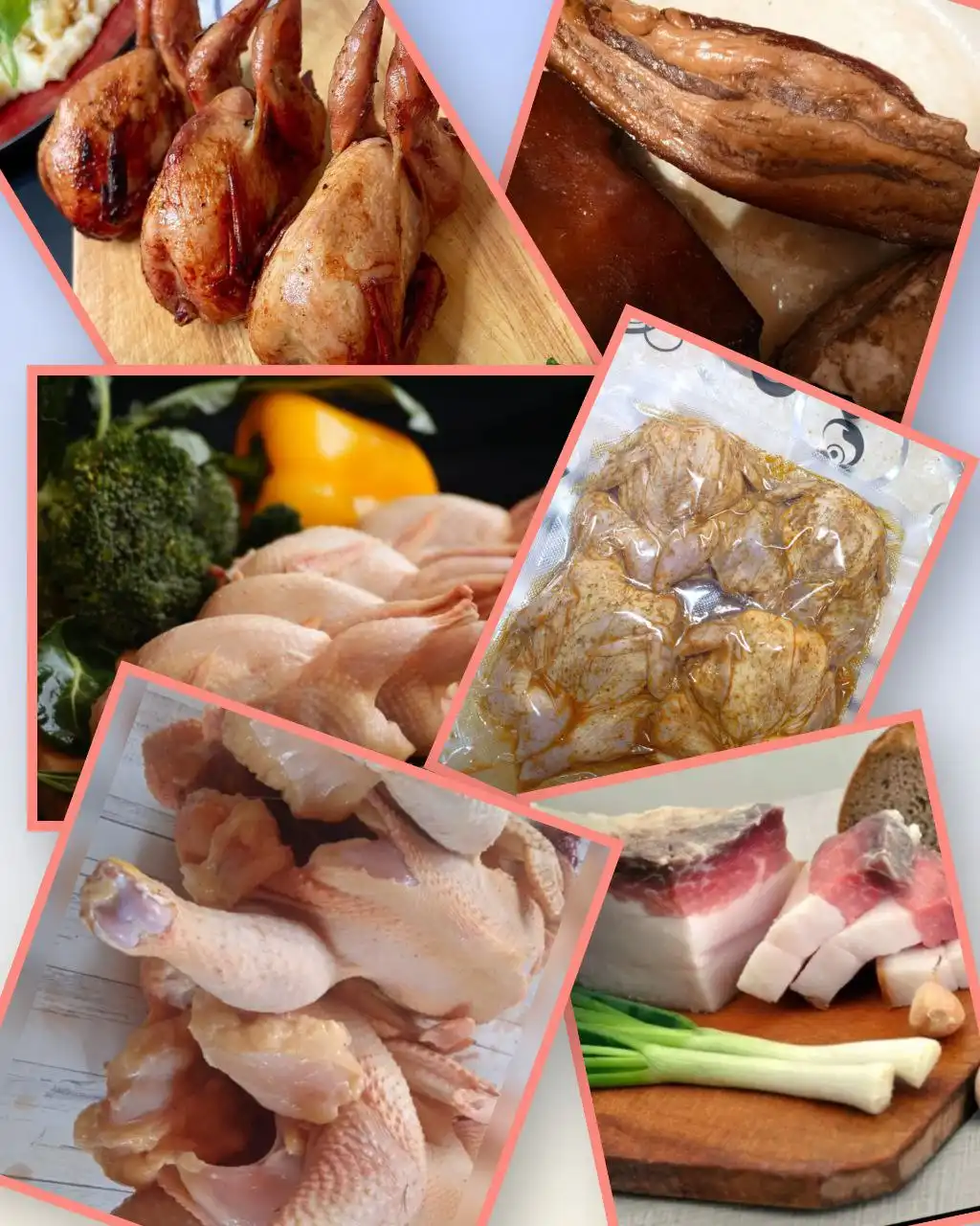 Продажа свежего мяса птицы и продуктов - Птица и продукты (Животные) в Оренбург