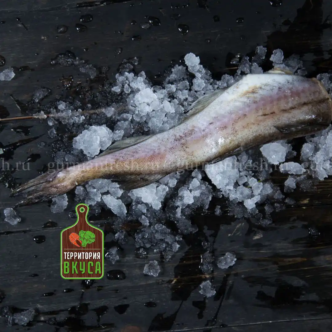 Продажа свежемороженой рыбы и морепродуктов в Оренбурге - Продукты питания (Барахолка) в Оренбург