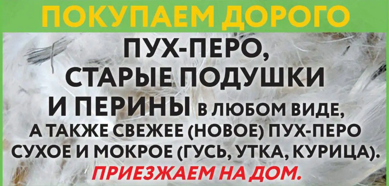 Покупка гусиного и утиного пуха-пера - Сырье/Материалы (Барахолка) в Оренбург
